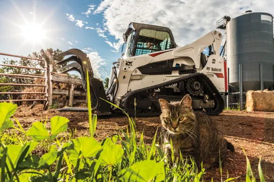 Browse Specs and more for the T870 Compact Track Loader w/ Forestry Cutter - Bobcat of Huntsville