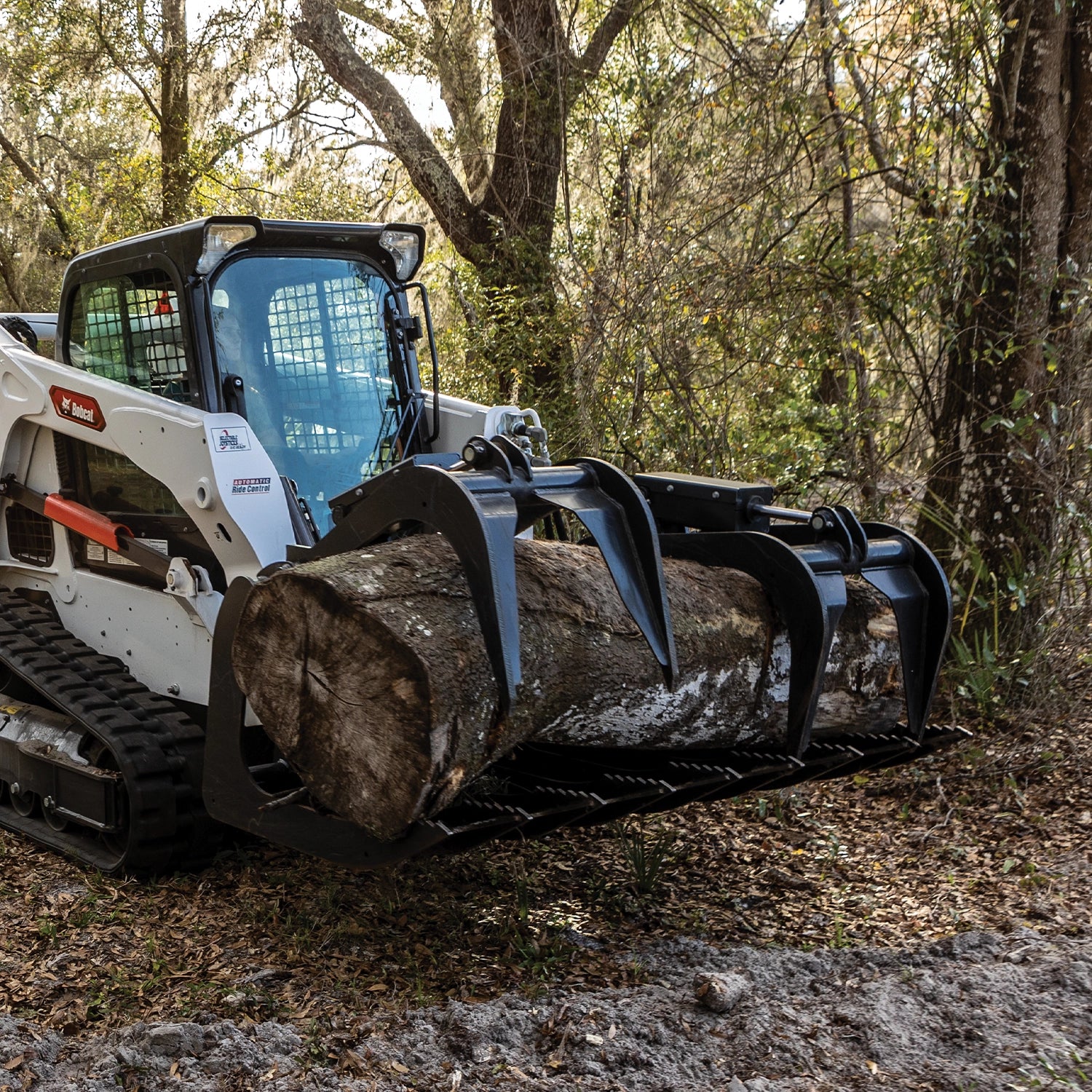 Bobcat Root Grapple